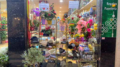 Bazar Floristería Chino Miguel