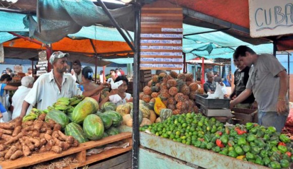 Bazar Lolo